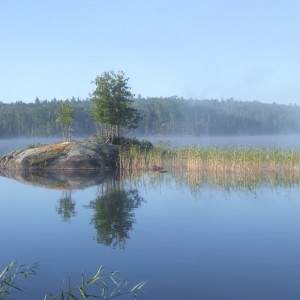 Boreal Forest & Lake (Roger Turenne)
