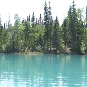 Boreal Forest on Little Limestone Lake (Roger Turenne)