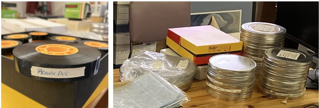 Combined Pic Film Detail And Overview