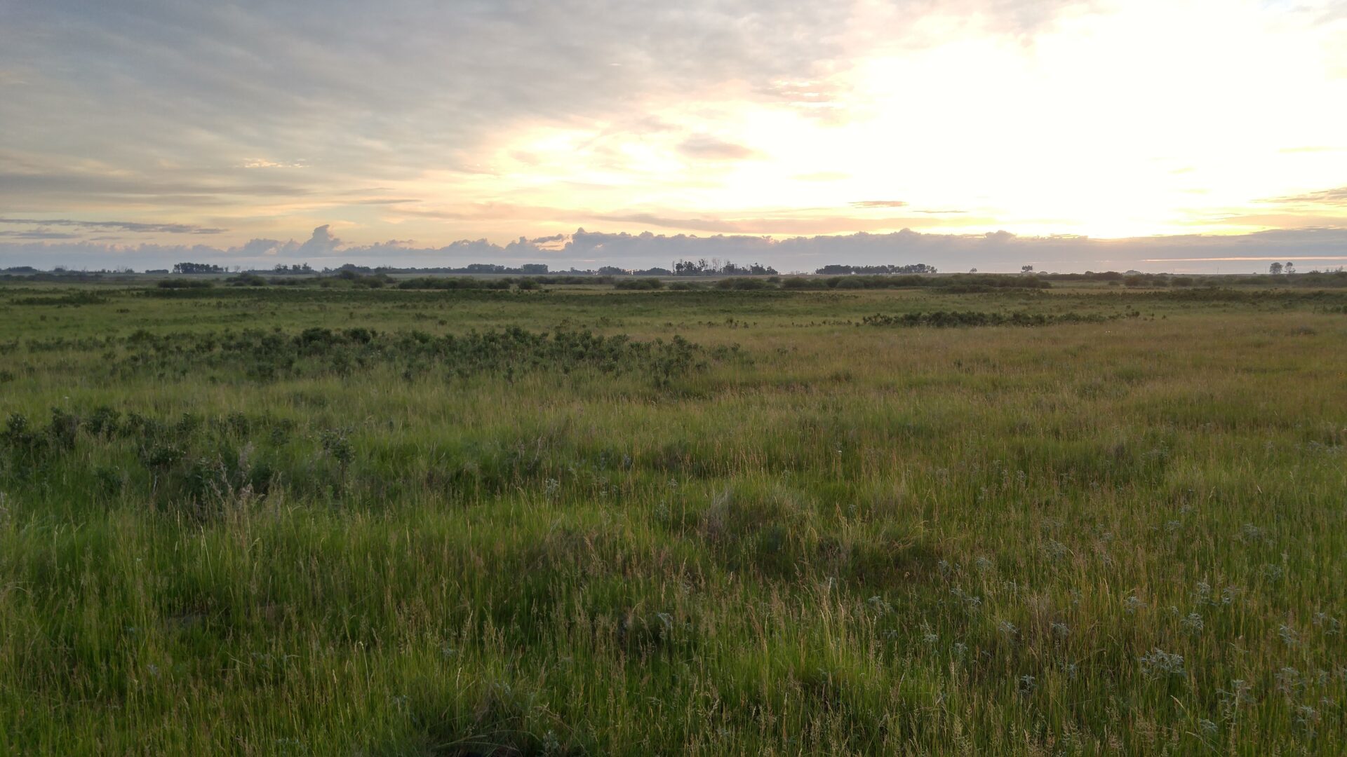 Starting a bird survey at sunrise