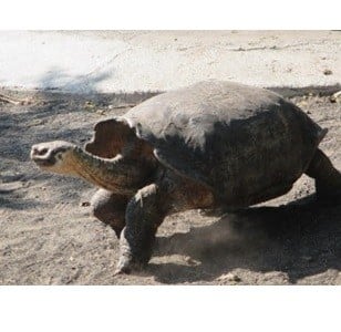 02-b Feb Picture2 crop