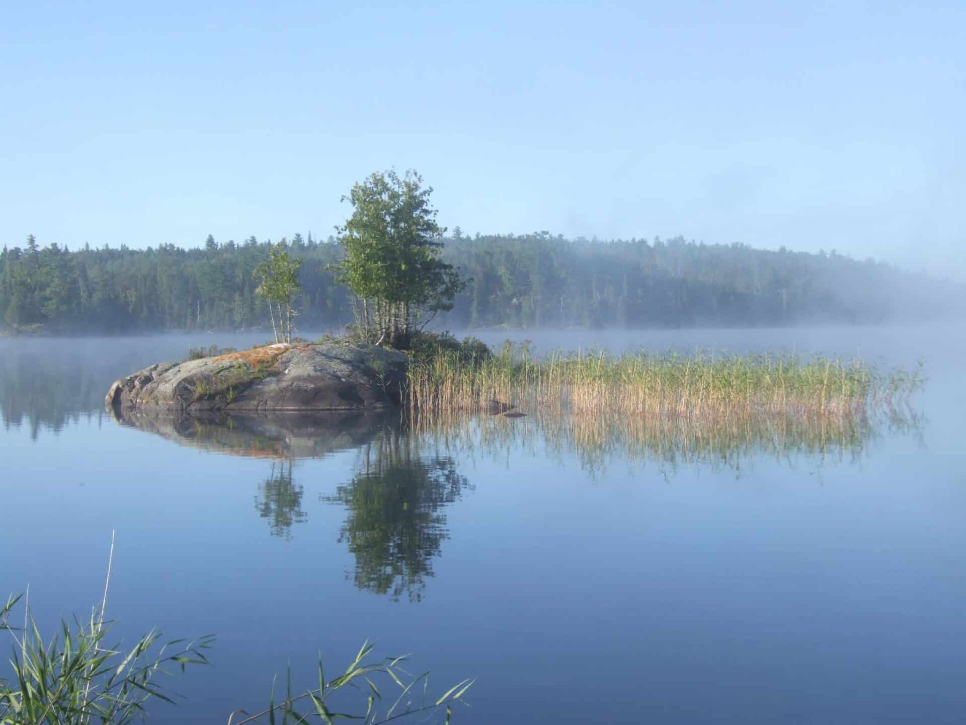Boreal Forest & Lake (Roger Turenne)