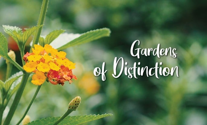 garden-tour-site-image_03