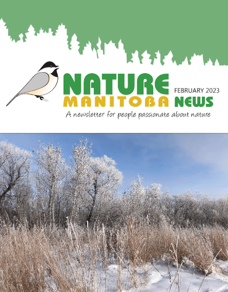 Feb newsletter banner