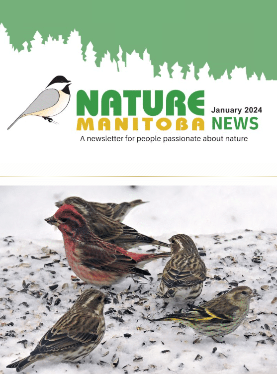 Jan 2024 Newsletter