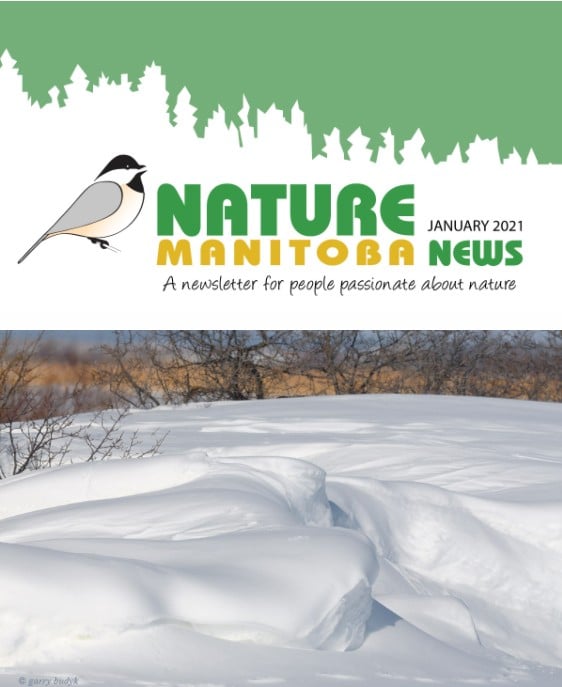 NM_news_header_2021_01