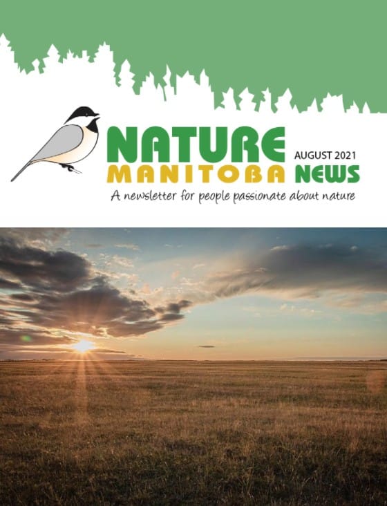 NM_news_header_2021_08
