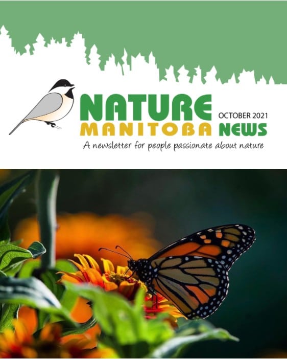 NM_news_header_2021_10