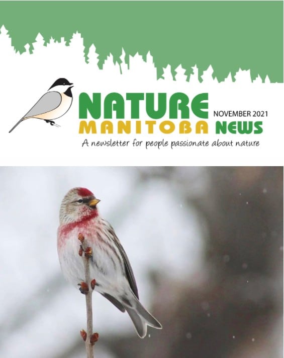 NM_news_header_2021_11