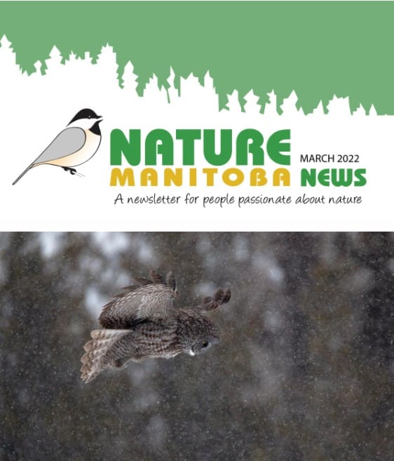 NM_news_header_2022_03