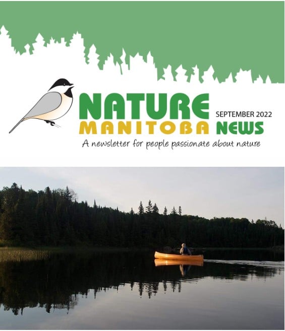 NM_news_header_2022_09