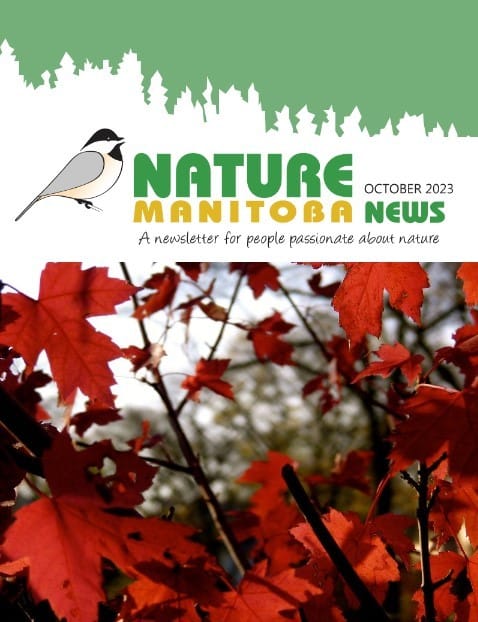 Screenshot 2023-10-17 101659