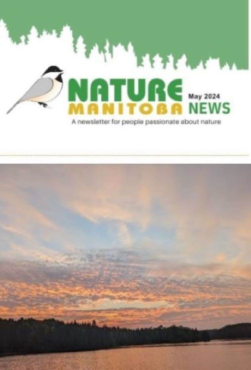 Screenshot 2024-05-15 091659