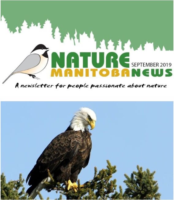 nm_news_2019_09