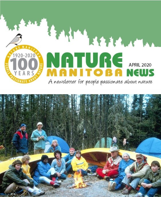 nm_news_2020_04