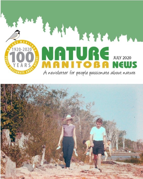 nm_news_2020_07