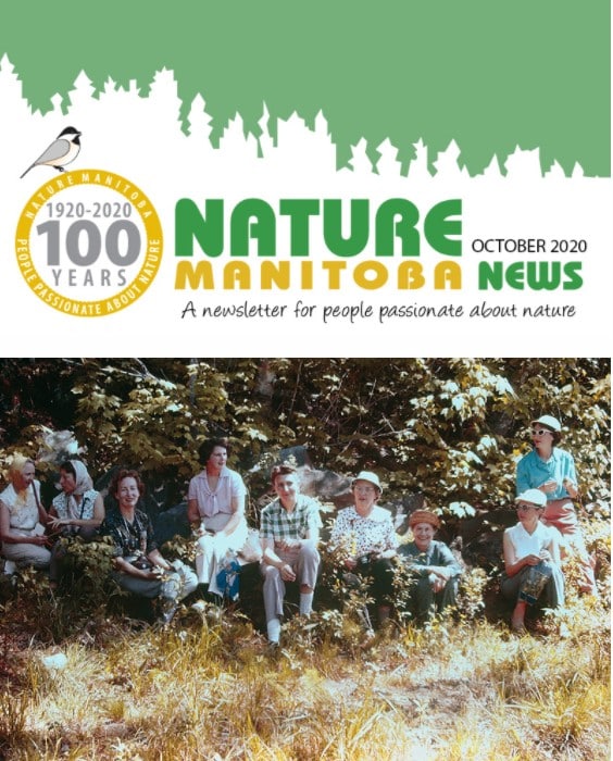 nm_news_2020_10