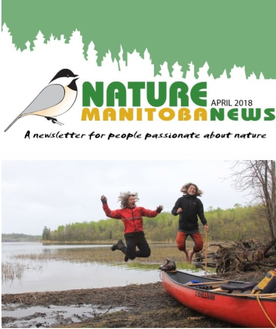 nm_news_header_apr2018