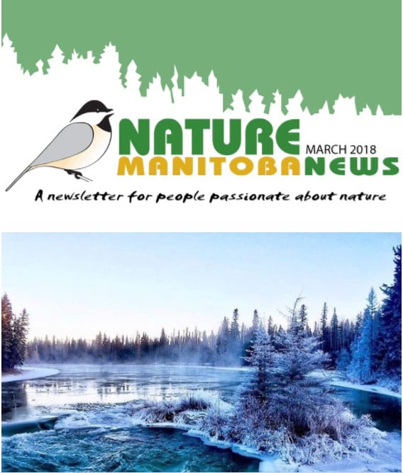 nm_news_header_mar2018