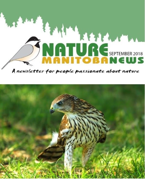 nm_news_webimage_sept2018