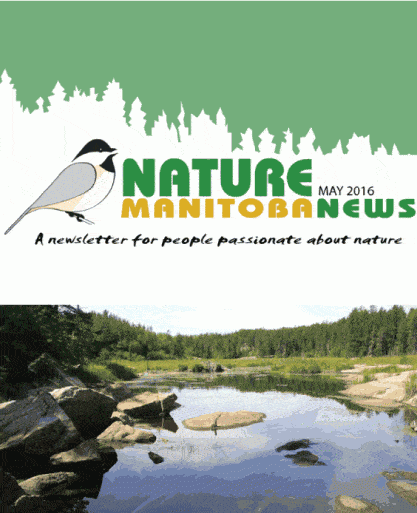 nmnewspic_03